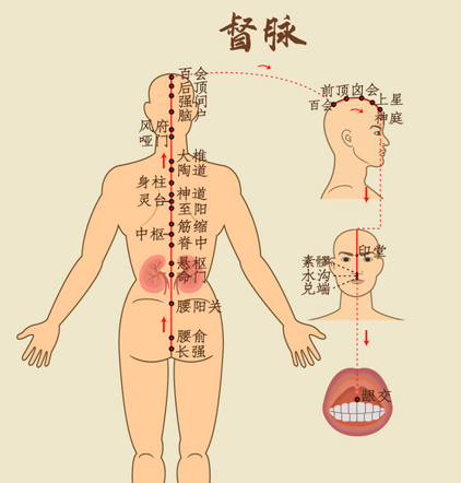 中药熏蒸床怎么熏蒸【健康科普】躺着就能养生？不妨来试试督脉熏蒸_https://www.jmylbn.com_新闻资讯_第4张