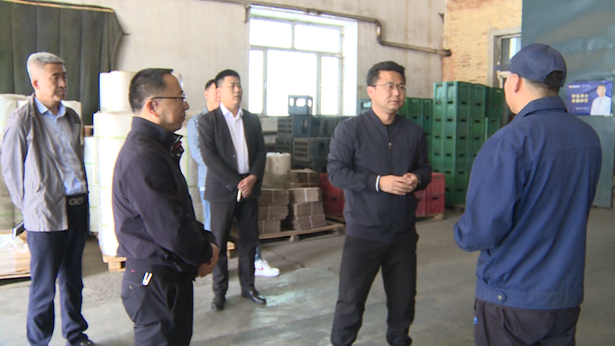 嫩江市委副书记政府市长崔凯调研指导企业安全生产等工作