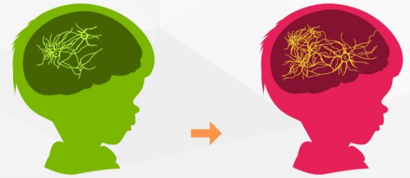 全脑专注力训练课！为什么一定要上？小编来给你解答一下！