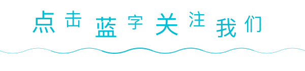 蓝字关注