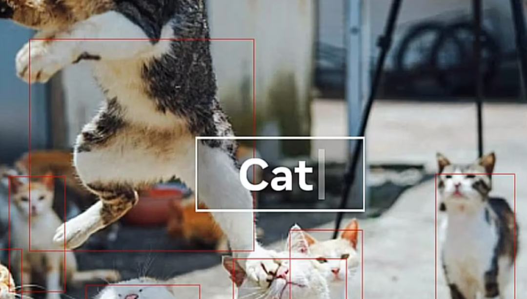 深度学习算法的5种标志性用途 _ 图像识别技术前瞻