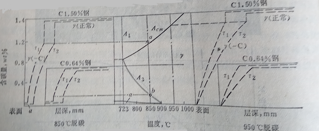 详解脱碳层的组织结构的图6