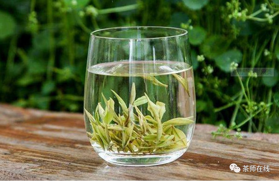 夏天喝绿茶虽好，但这些误区要避开