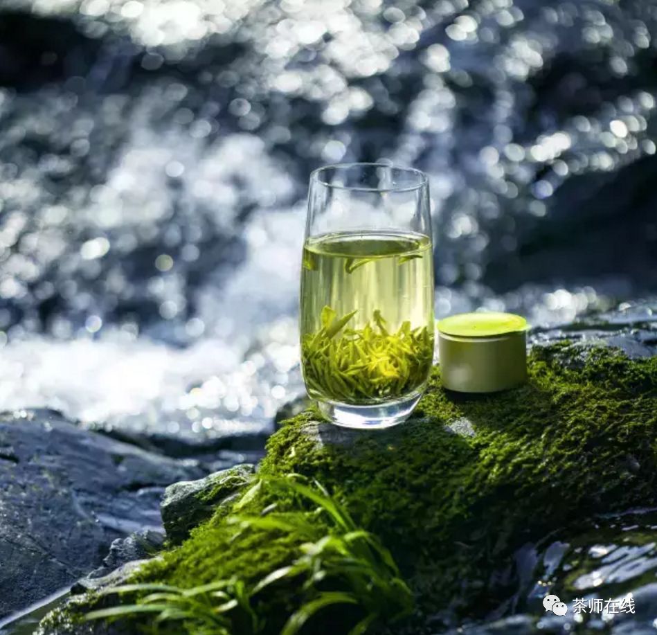 人民日报丨黄山毛峰润古今