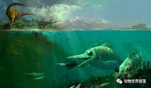 新西兰大鱼龙_新西兰新西兰葡萄酒庄园_新西兰岩龙和澳龙区别