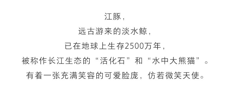 藝栢 X 時尚旅遊，你穿的不是衛衣是最炫的公益！！！ 家居 第42張