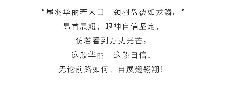 藝栢 X 時尚旅遊，你穿的不是衛衣是最炫的公益！！！ 家居 第30張