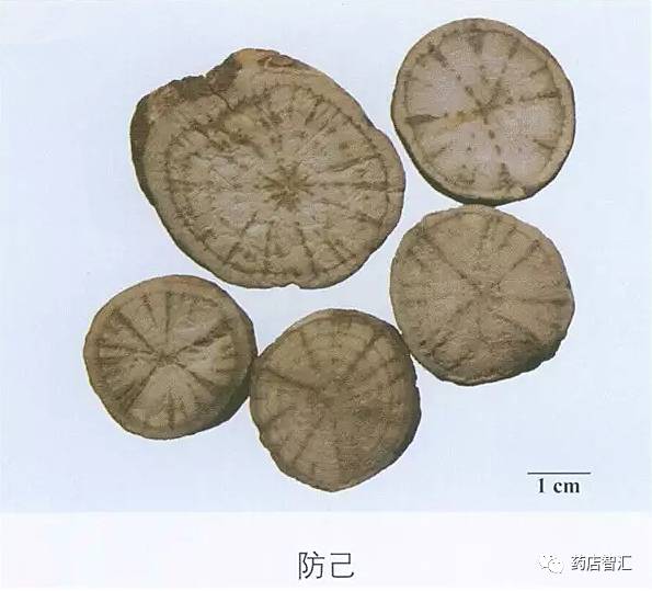 中药学堂防己