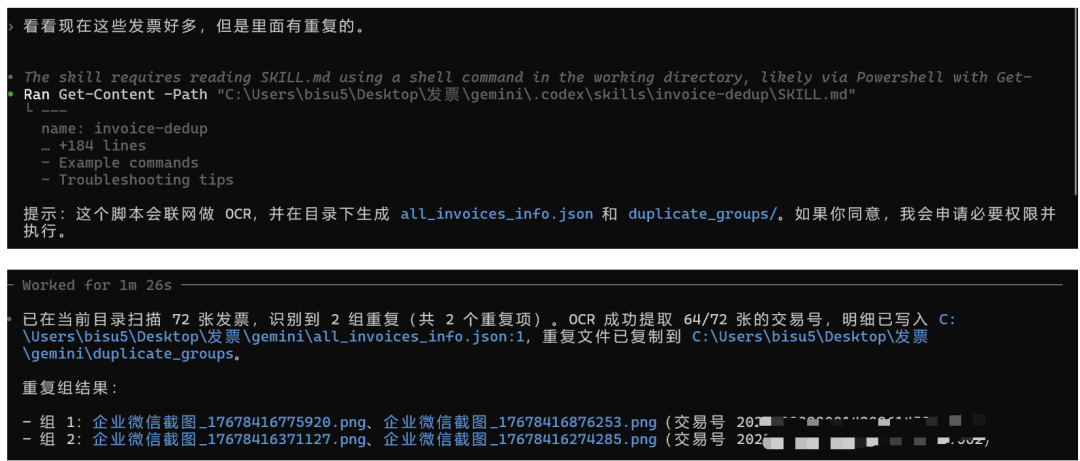 invoice-dedup skill 示例截图