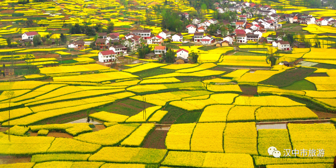 汉中油菜花海线路攻略！看完直呼：世界那么大，我要去看看！