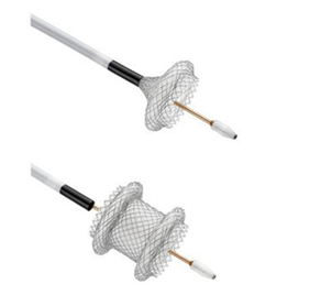 波科支架怎么样五分钟解决胰腺假性囊肿，波科AXIOS支架和电灼增强输送系统 ｜ 盖伦奖提名医械详解Ⅹ_https://www.jmylbn.com_新闻资讯_第10张