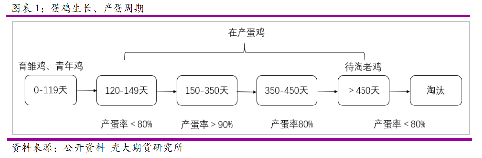 蛋价一地鸡毛!为何僵持不下?