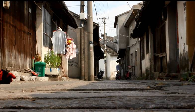 被这巷子的风吹醒