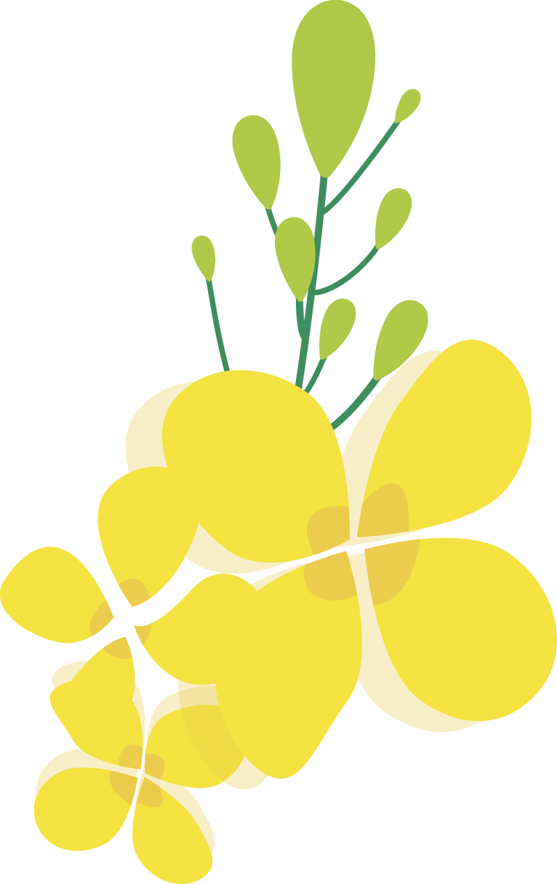 医疗器械学什么专业【我药上大学】欢迎报考沈阳药科大学- 生物医学工程（中外合作办学）专业_https://www.jmylbn.com_新闻资讯_第13张