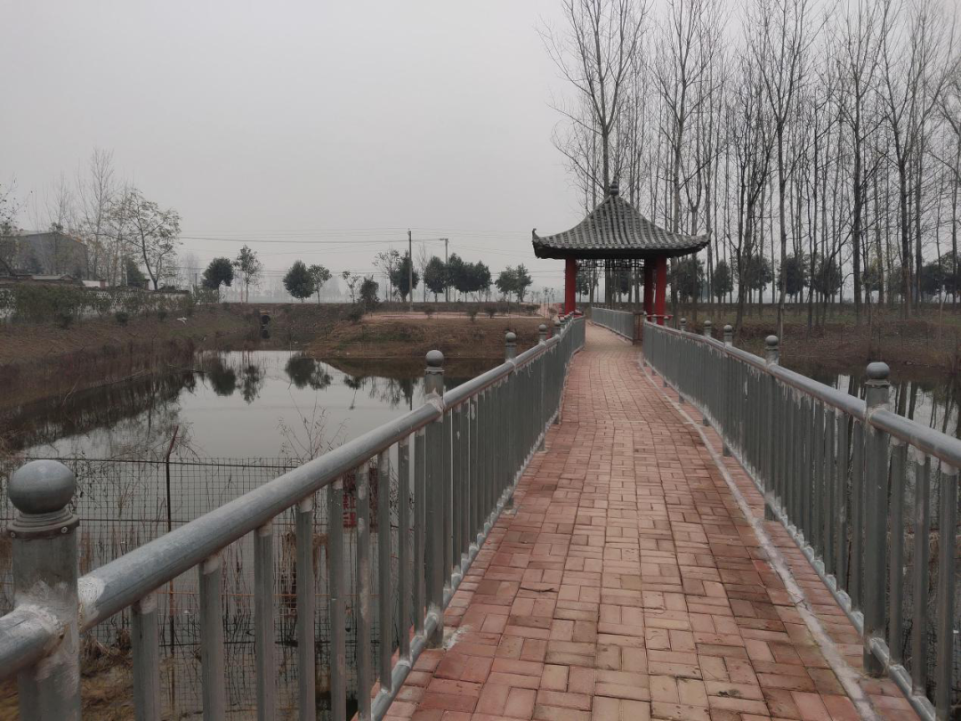 汝南县留盆镇村民齐动员村庄焕新颜