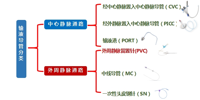 为什么输血不能用小针“静”系生命   “针”心呵护_https://www.jmylbn.com_新闻资讯_第1张