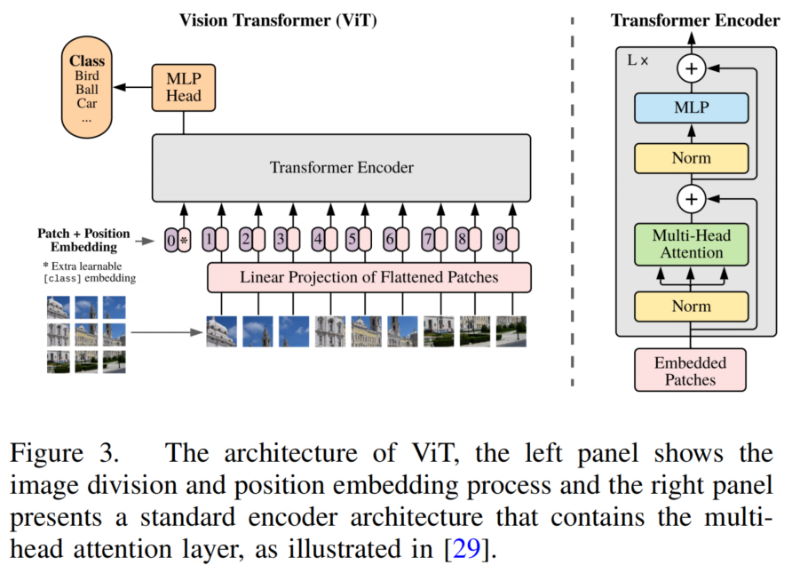 Transformer在BEV、2D/3D检测上的应用、量化与加速！的图3