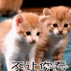 APDL Showcase1的理论基础(2)——非对称接触的图7