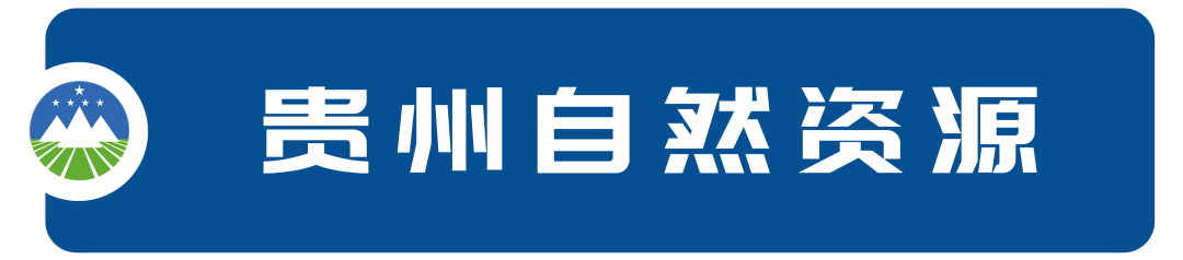 借鉴经验怎么解释_借鉴优质村庄规划经验材料_高盛资产负债管理及其经验借鉴