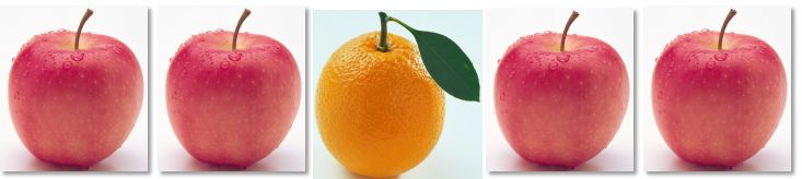 有趣的排序语言表达能力培养_有趣的排序视频课程_有趣的排序