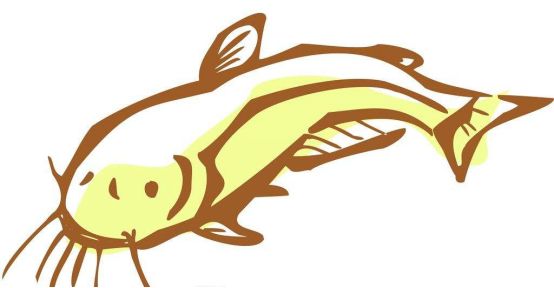 方言词语 泥鳅 方言与文化 微信公众号文章阅读 Wemp