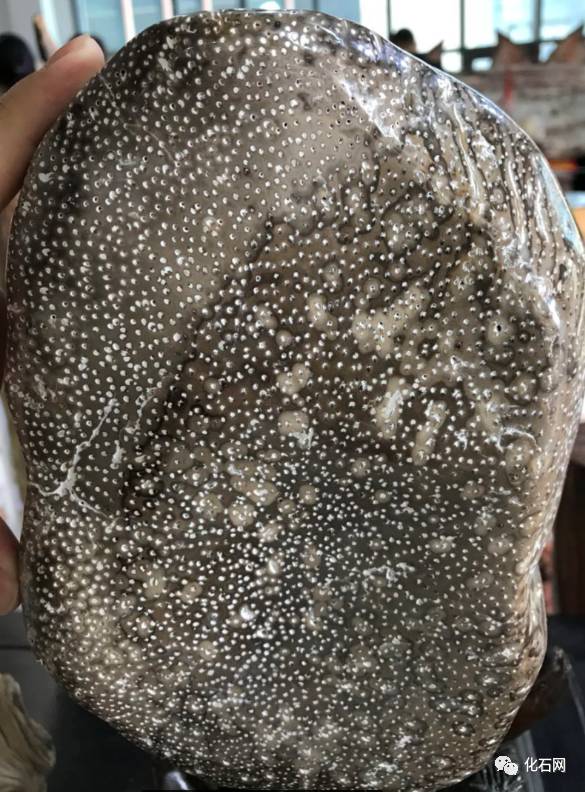 那些美丽的石头黄石展