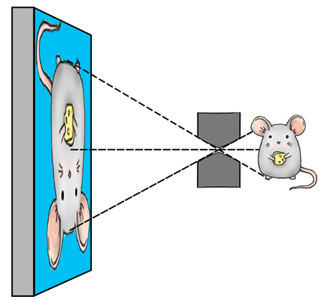COMSOL光器件仿真，掌握这些控制方程和边界条件就够了的图1