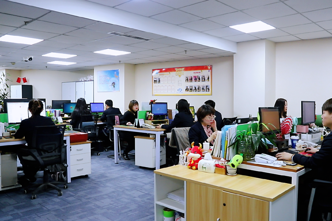 新干线教育集团