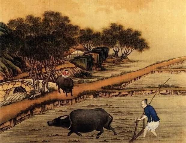 江苏教师教育(江苏教师培训中心)