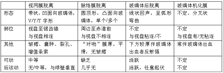 眼科ab超怎么使用不同眼科疾病的超声诊断_https://www.jmylbn.com_新闻资讯_第4张