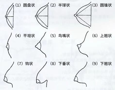 女生的胸到底有几种形状