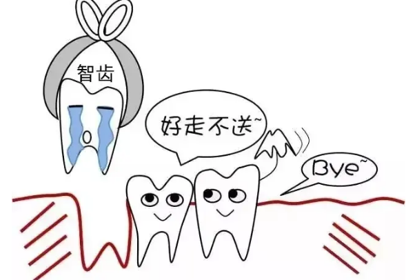 为什么牙医不用开口器拔牙的适应证和禁忌证整理——最基础的知识，牙医也要牢记_https://www.jmylbn.com_新闻资讯_第4张