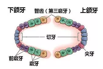 疫情期间，智齿发炎了怎么办？
