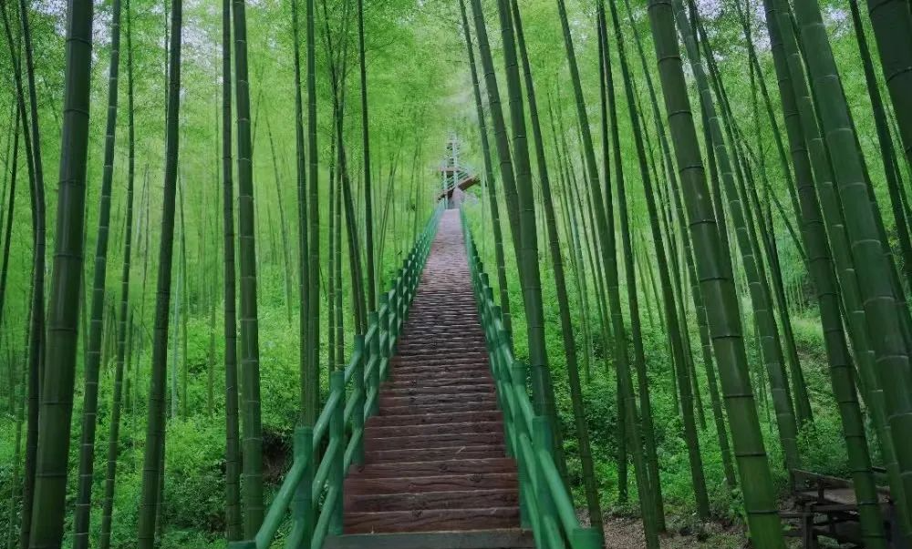 行走在龙潭峡谷风景区峡谷栈道,可以观竹海腾浪,听古庙梵音,看龙潭