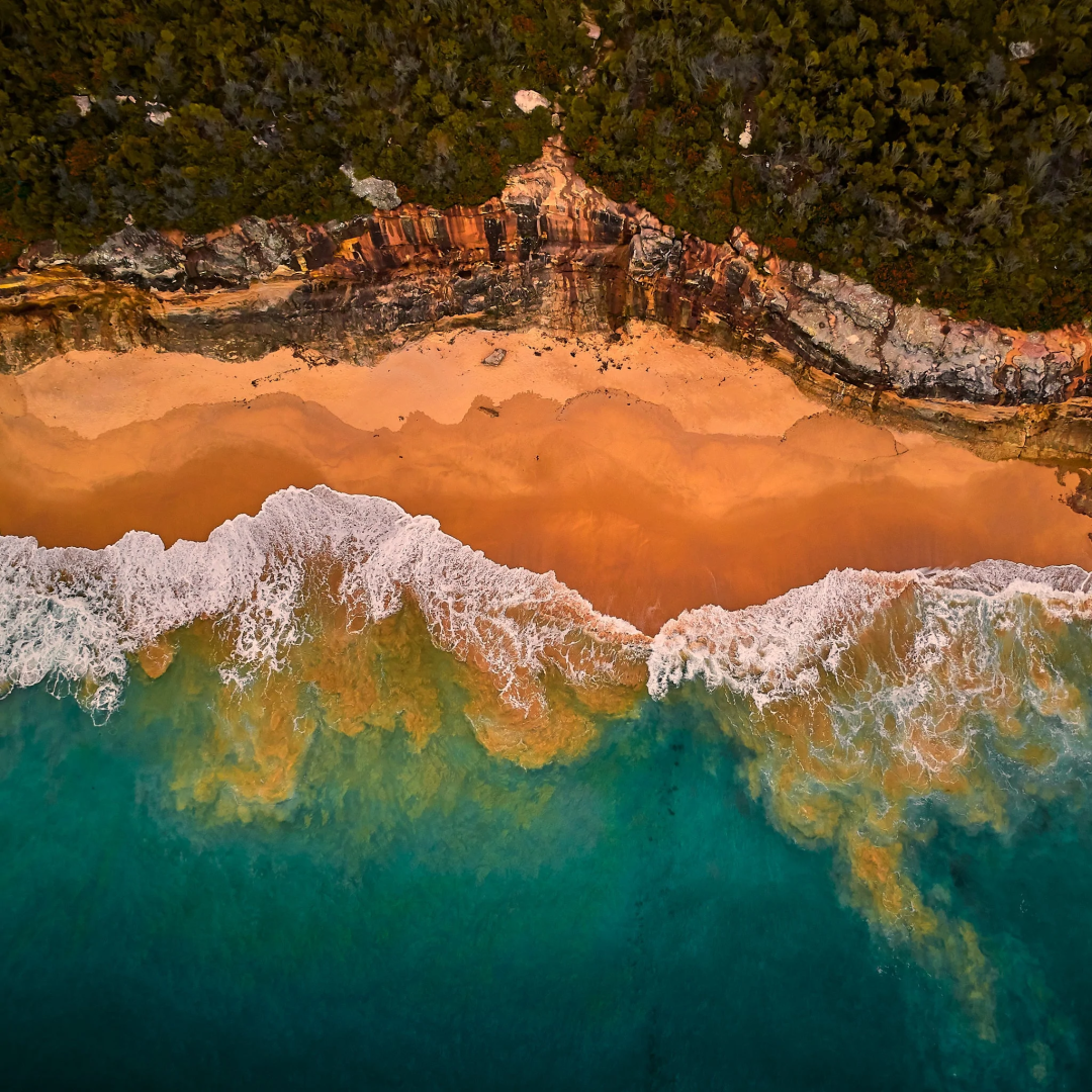 悉尼绝秘海滩！美的像一副油画，曾经还是裸体海滩（组图） - 8