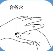 "312"经络养生法,打通全身经络