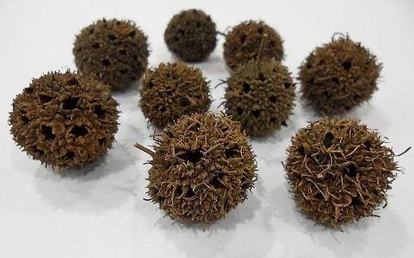 头晕,舌红少苔欠津液,脉细数等虚热内扰之候,则治以滋阴增液,荣筋通络