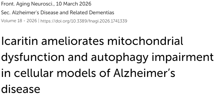 科学家发现淫羊藿提取物能有效修复受损脑细胞，未来很可能可以成为对抗老年痴呆的重要选项