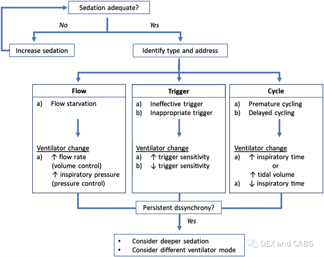 呼吸机是怎么给压力的机械通气的基本方式_https://www.jmylbn.com_新闻资讯_第21张