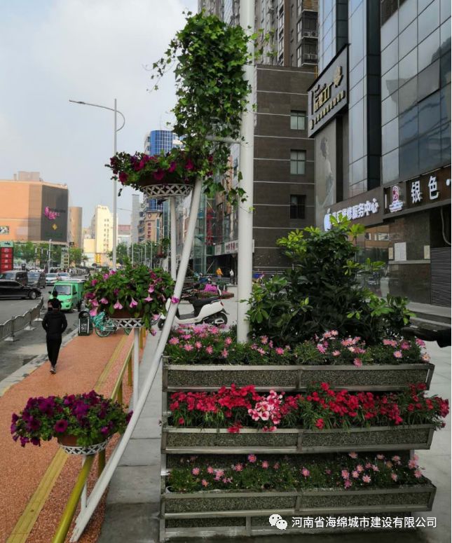 改造篇——郑州市自由路 改造篇——郑州市自由路