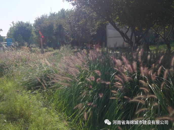 『学习篇』李冰带领全体毕业生走进海绵城市试点——鹤壁 『学习篇』李冰带领全体毕业生走进海绵城市试点——鹤壁