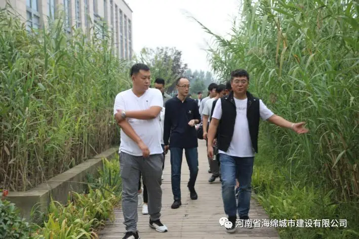 山西太原、山东威海海绵城市建设考察团领导莅临郑州考察海绵城市建设 山西太原、山东威海海绵城市建设考察团领导莅临郑州考察海绵城市建设