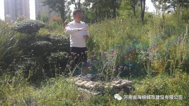 『学习篇』李冰带领全体毕业生走进海绵城市试点——鹤壁 『学习篇』李冰带领全体毕业生走进海绵城市试点——鹤壁