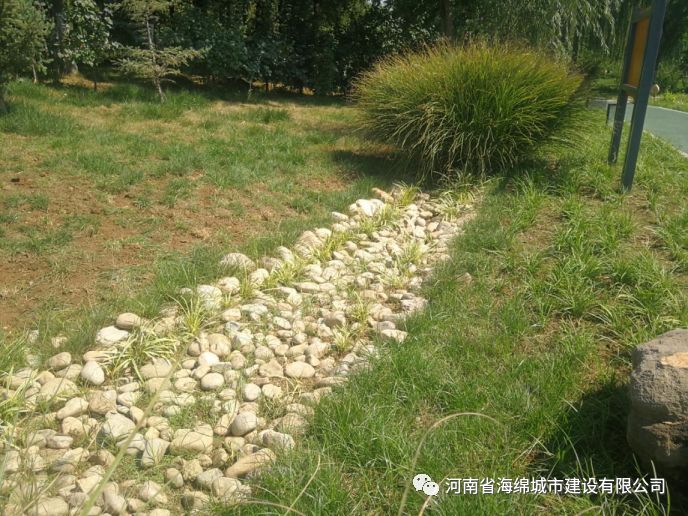 『学习篇』李冰带领全体毕业生走进海绵城市试点——鹤壁 『学习篇』李冰带领全体毕业生走进海绵城市试点——鹤壁