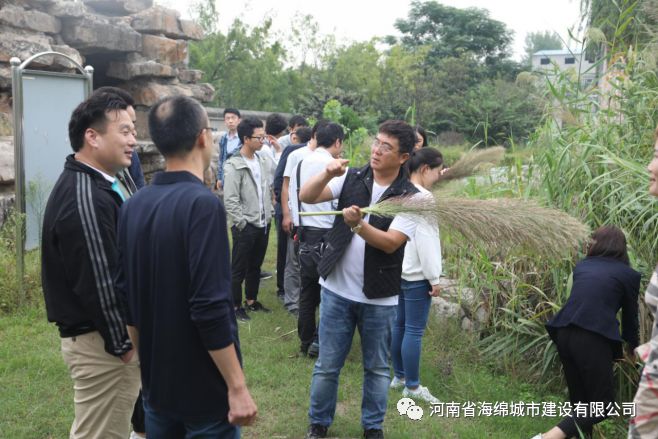 山西太原、山东威海海绵城市建设考察团领导莅临郑州考察海绵城市建设 山西太原、山东威海海绵城市建设考察团领导莅临郑州考察海绵城市建设