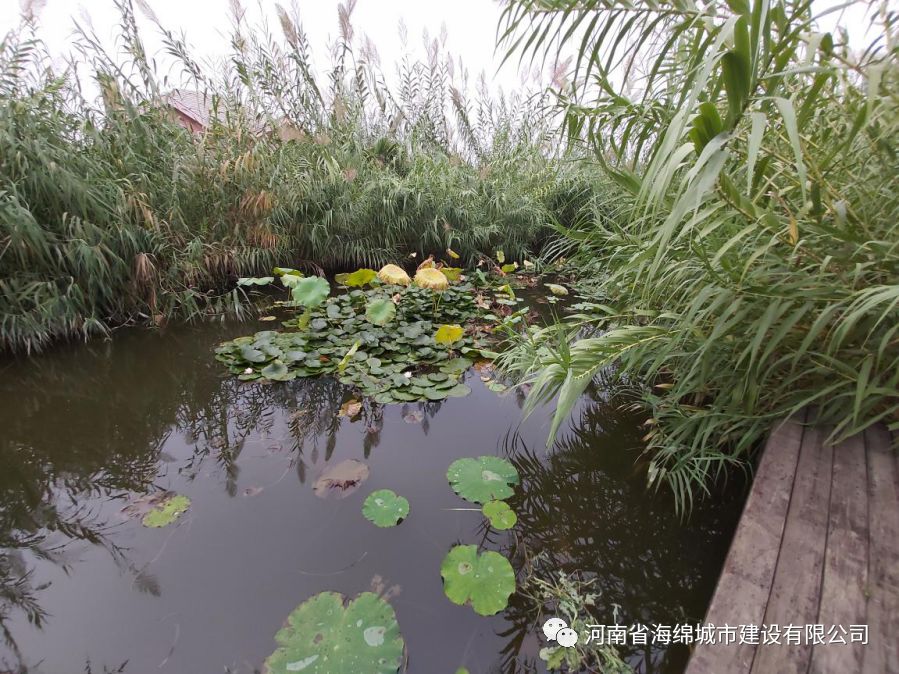 山西太原、山东威海海绵城市建设考察团领导莅临郑州考察海绵城市建设 山西太原、山东威海海绵城市建设考察团领导莅临郑州考察海绵城市建设