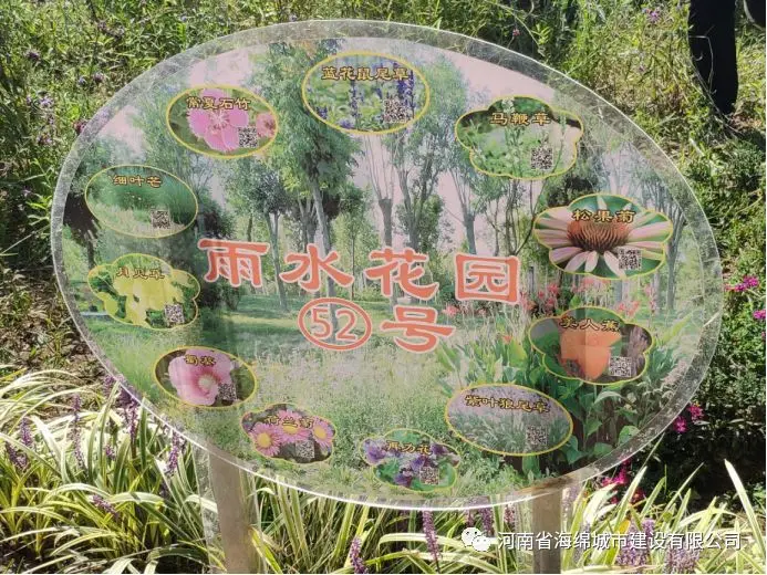 『学习篇』李冰带领全体毕业生走进海绵城市试点——鹤壁 『学习篇』李冰带领全体毕业生走进海绵城市试点——鹤壁