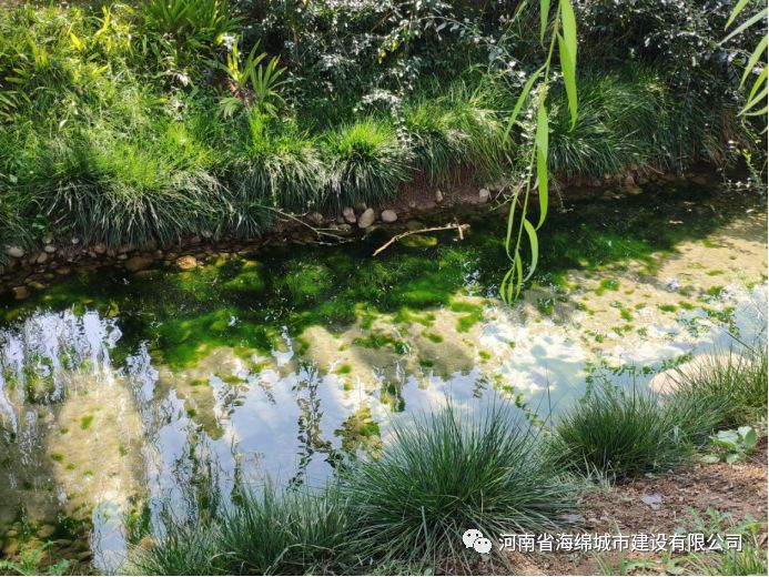 『学习篇』李冰带领全体毕业生走进海绵城市试点——鹤壁 『学习篇』李冰带领全体毕业生走进海绵城市试点——鹤壁