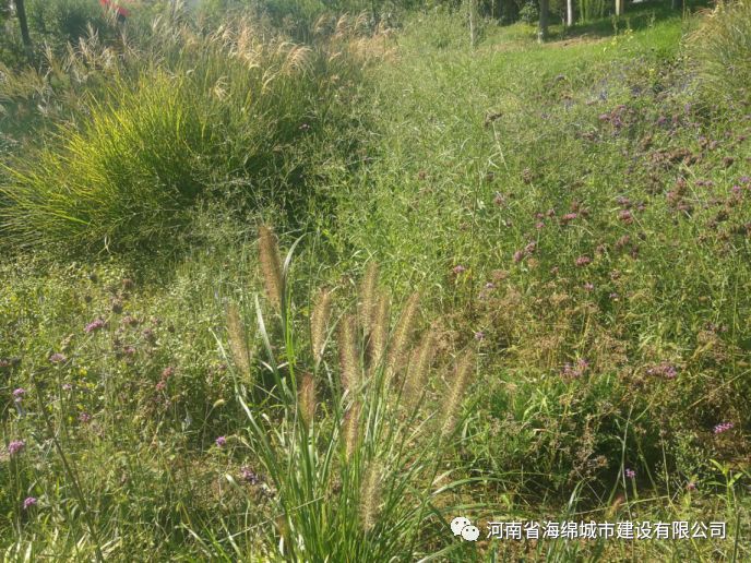 『学习篇』李冰带领全体毕业生走进海绵城市试点——鹤壁 『学习篇』李冰带领全体毕业生走进海绵城市试点——鹤壁