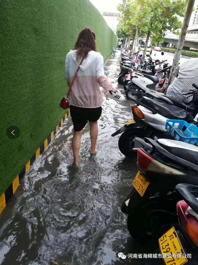 郑州的天然氧吧!竟然藏在这条街? 郑州的天然氧吧!竟然藏在这条街?